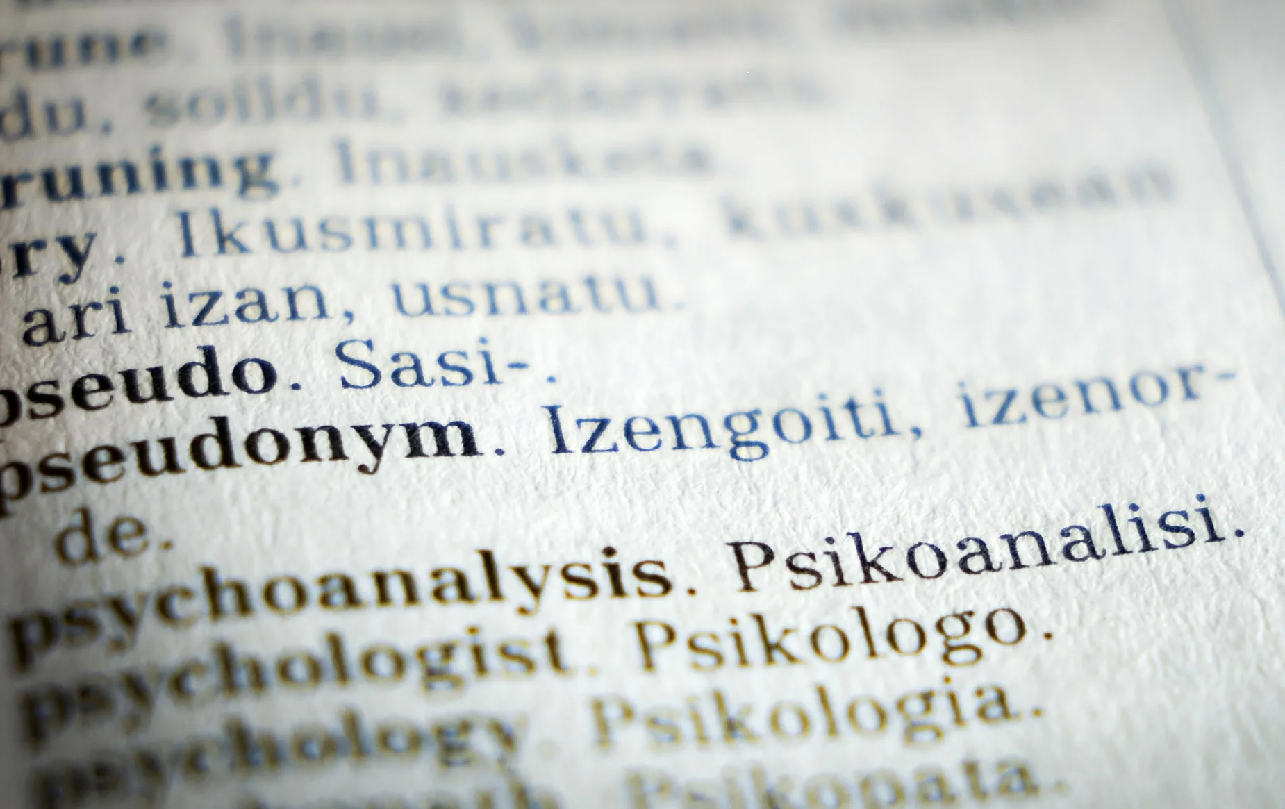 Detail from a page in a language translation dictionary