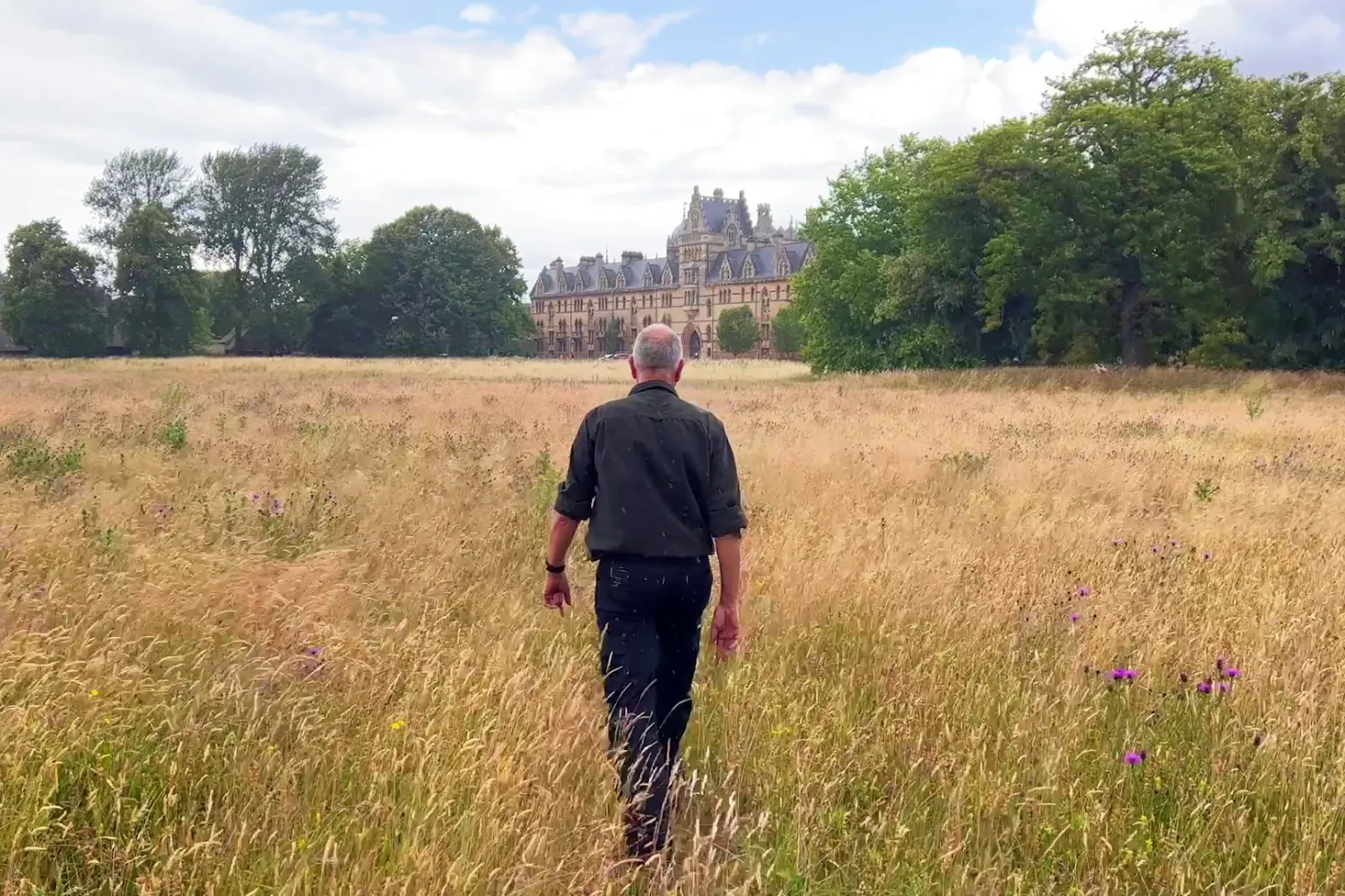 John James in the Meadow